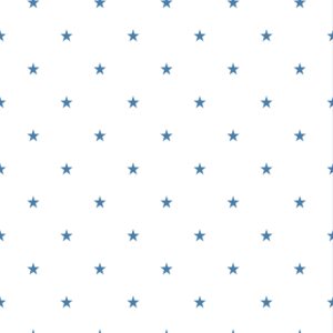 Duro 1900 Star Blå, 397-03