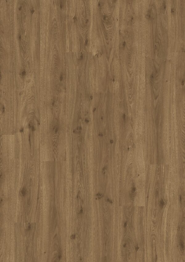 MAROON OAK - TRONDHEIM | L0361-06407