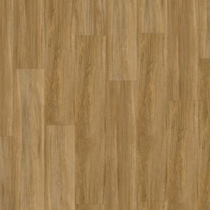 VIRTUO 55 RIGID ACOUSTIC 1474 QAJA HONEY
